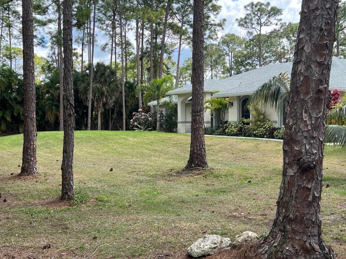 Private Tropical Paradise Guesthouse! Loxahatchee Eksteriør bilde